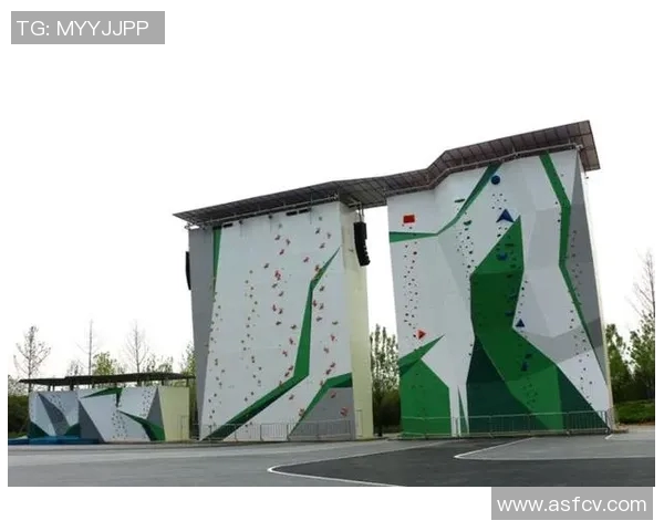 极限运动战术解析南京极限运动队的全方位压制与协同作战体系探讨